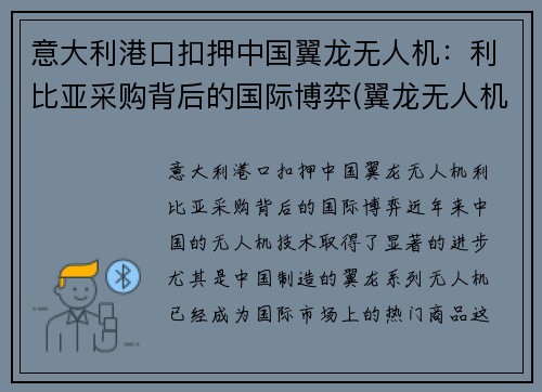 意大利港口扣押中国翼龙无人机：利比亚采购背后的国际博弈(翼龙无人机国外实战)