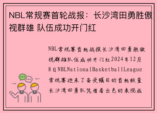 NBL常规赛首轮战报：长沙湾田勇胜傲视群雄 队伍成功开门红